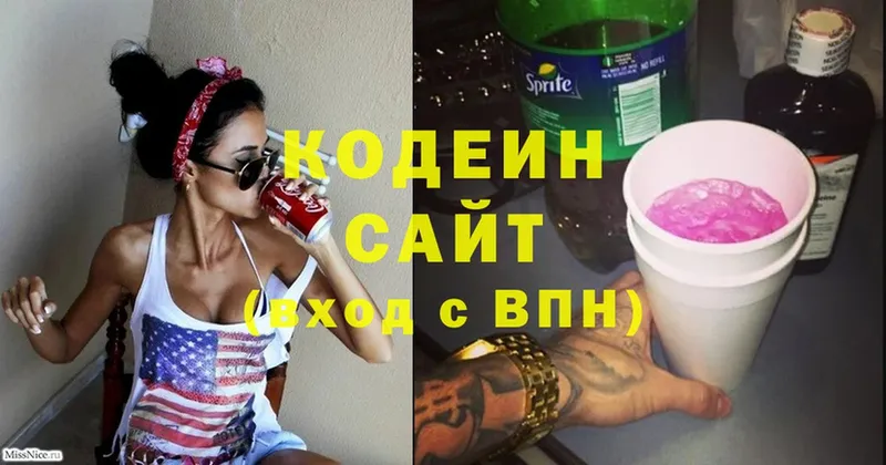 купить наркотики цена  Каменка  Кодеиновый сироп Lean напиток Lean (лин) 